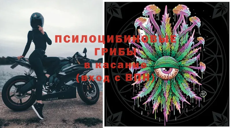 Псилоцибиновые грибы MAGIC MUSHROOMS  дарнет шоп  Нижнеудинск 